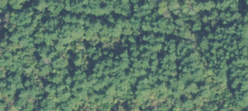 Buildable Residential Land Lot
