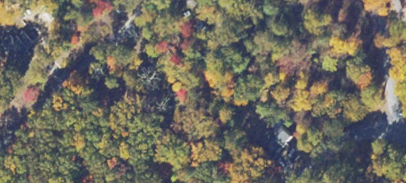 Combined Wooded Residential Lots