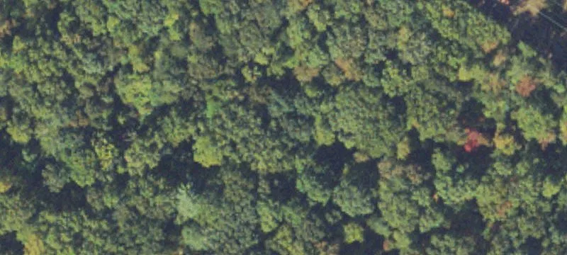 Agricultural Land Parcel