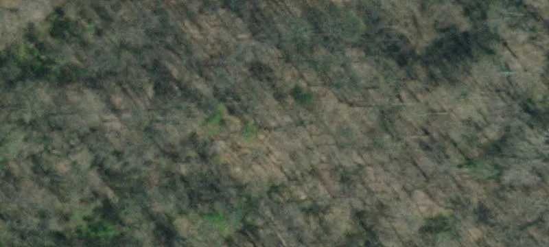 Wooded Residential Development Land