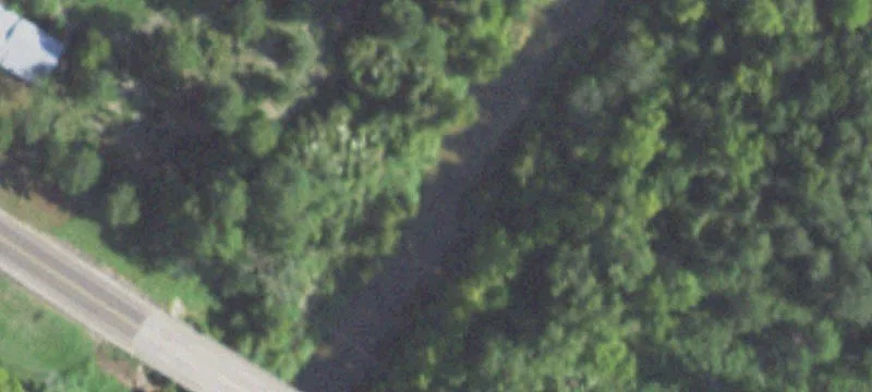 Wooded Homesite with County Road Access