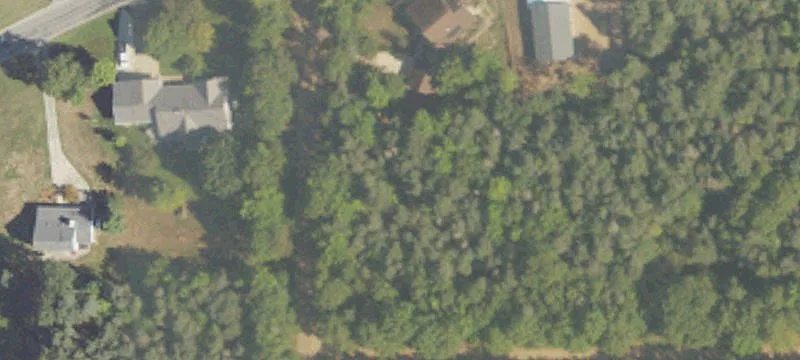Wooded Residential Buildable Lot