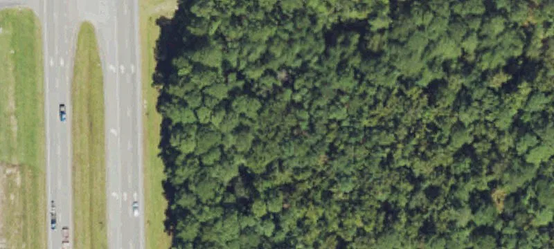 Gently Sloping Timberland Parcel