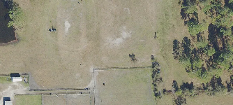 Horse Boarding and Training Facility