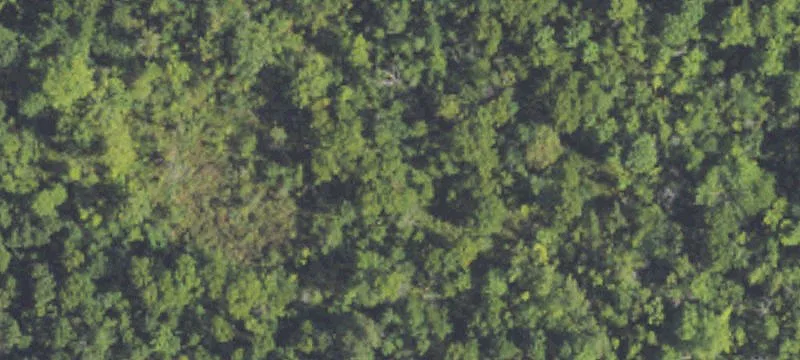 Hunting Land with Two Ponds