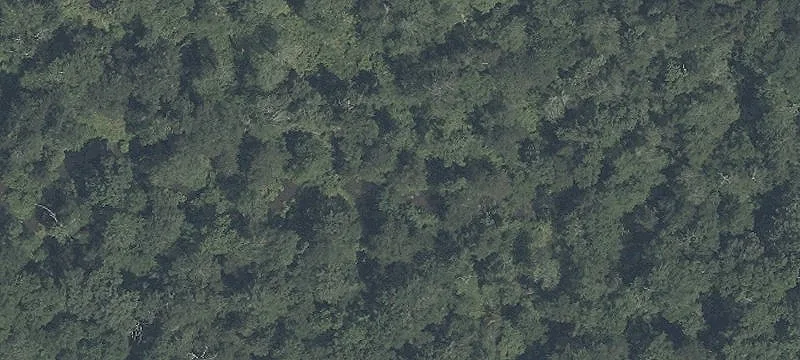 Corner Commercial Development Land