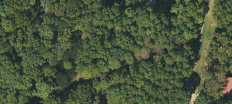 Wooded Residential Land Parcel