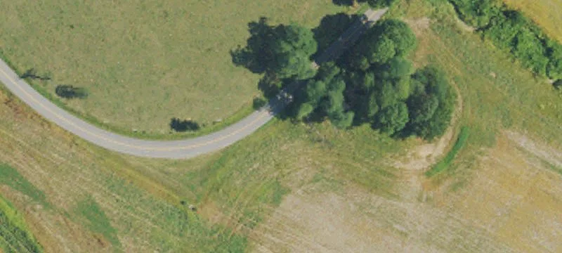 Wooded Hunting and Recreation Land