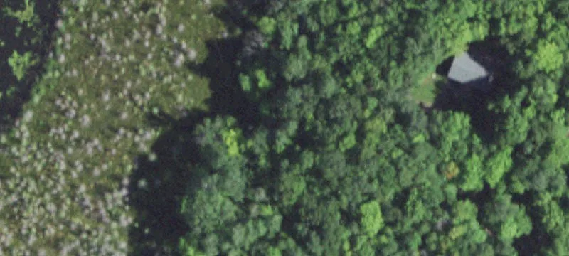 Wooded Residential Land Parcel