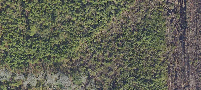 Specialty Land Parcel