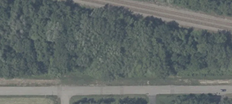 Vacant Wooded Land Parcel
