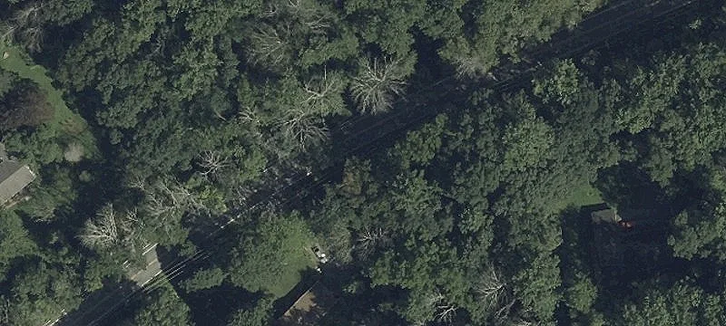 Woodland and Farmland Parcel