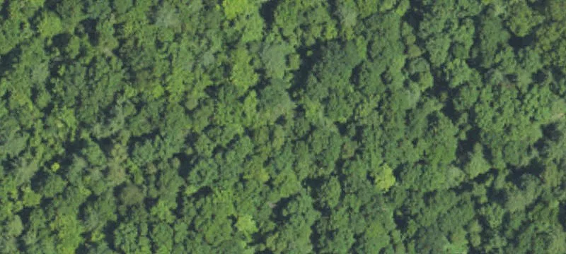Residential Land Lot in Gated Community