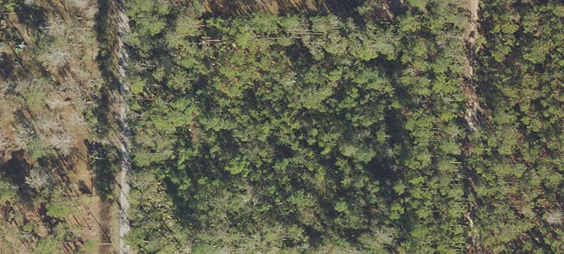 Residential Land for Custom Build