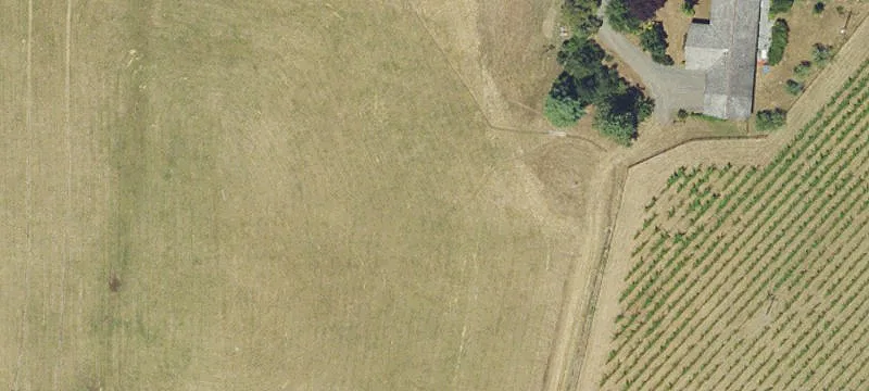 Organic Vineyard with River Water Rights