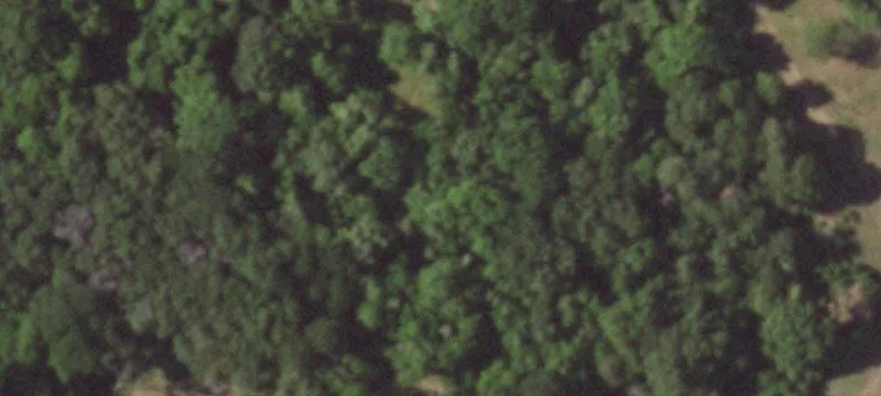 Recreational Hunting Land