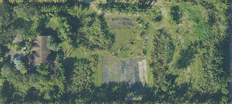 Irrigated Avocado Grove Land