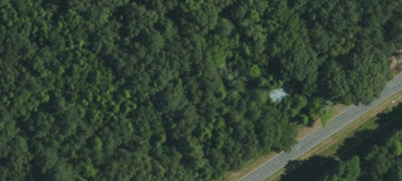 Hunting Land with Planted Timber