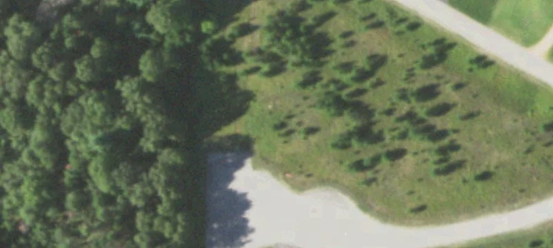 Wooded Waterfront Land with Pier Access