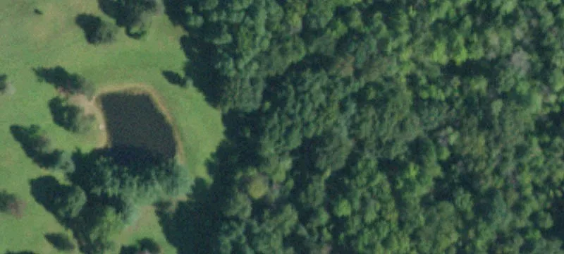 Wooded Residential Build Site