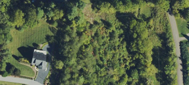 Wooded Residential Land Lot