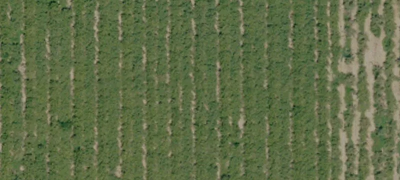 Agricultural Land with Farm Improvements