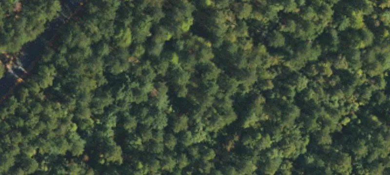 Wooded Waterfront Land Parcel