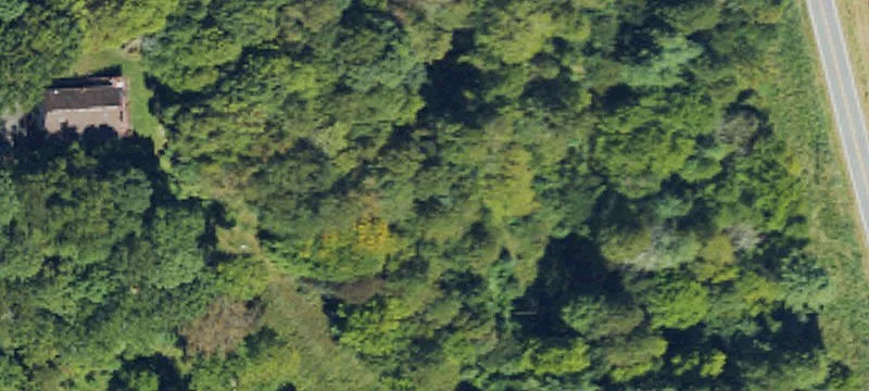 Wooded Mountain Land Parcel