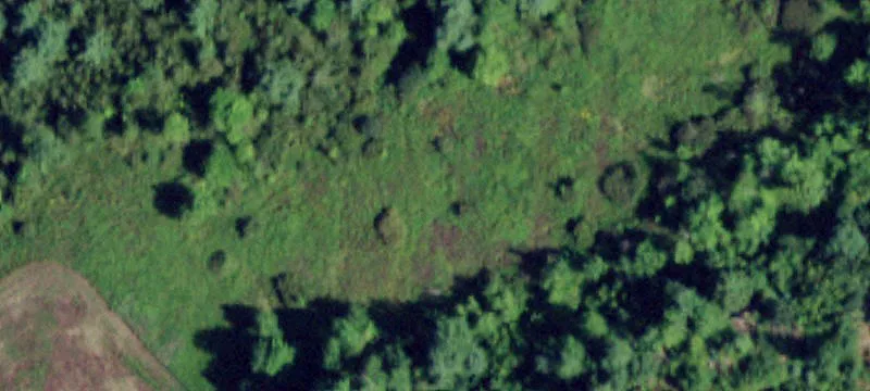 Fully Fenced Pasture Land