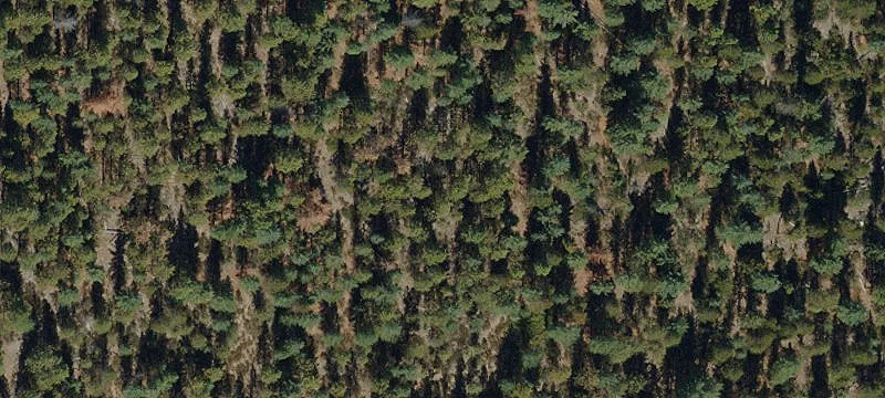 Buildable Residential Land Lot