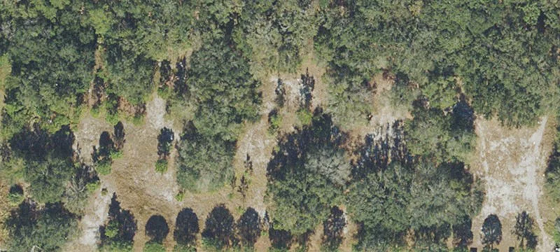 Vacant Commercial Land Site