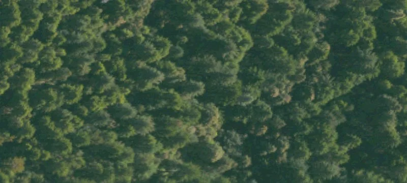 Recreation Land with Camping Area