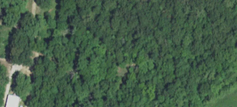 Agricultural Land with Creek
