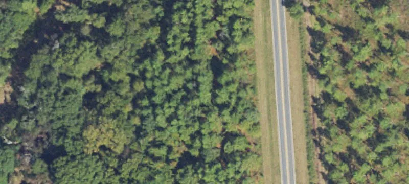 Irrigated Farmland with CRP Timber