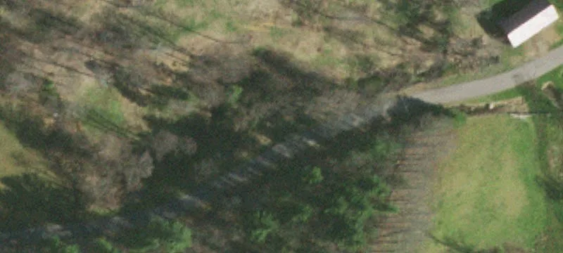 Pasture Land Tract
