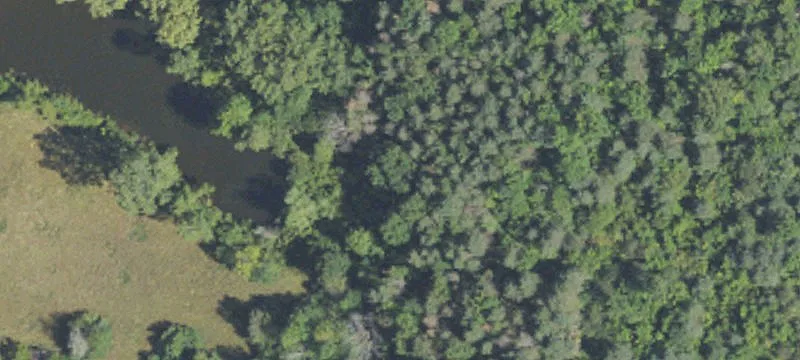 Wooded Hunting and Homesite Land