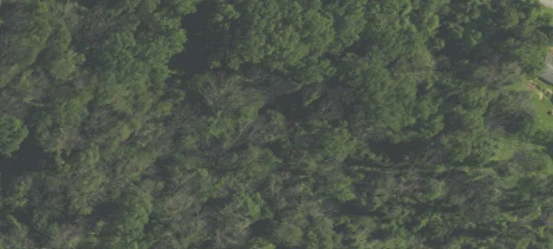 Wooded Residential Land Parcel