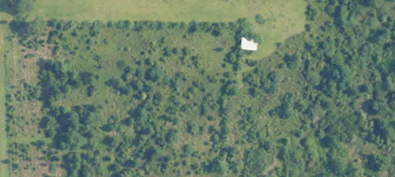 Partially Cleared Waterfront Land