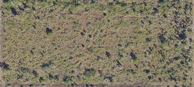 Agricultural Land Tract with Double Frontage