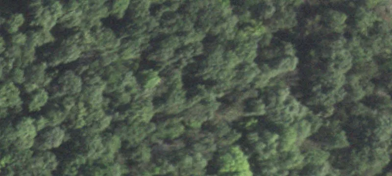Hunting Land with Outbuilding