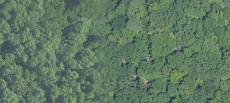 Hunting and Recreational Land