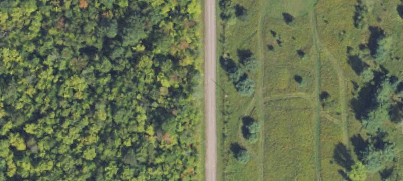 Wooded Recreational Land Parcel