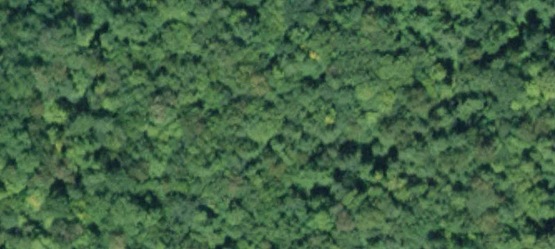 Agricultural Equestrian Farm Property