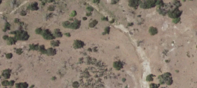 Treed Home Site Subdivision
