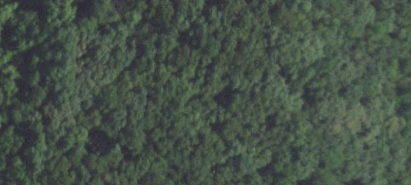 Wooded Residential Development Land