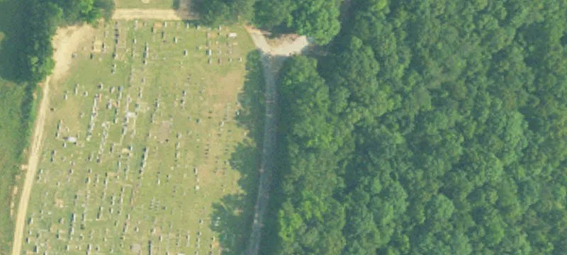 Undeveloped Home Site with Timber