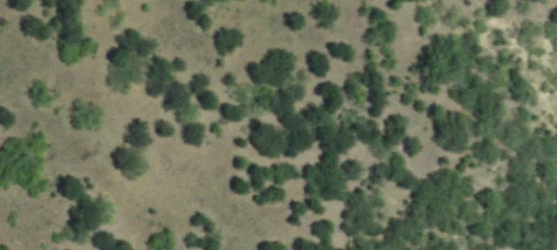 Corner Residential Lot