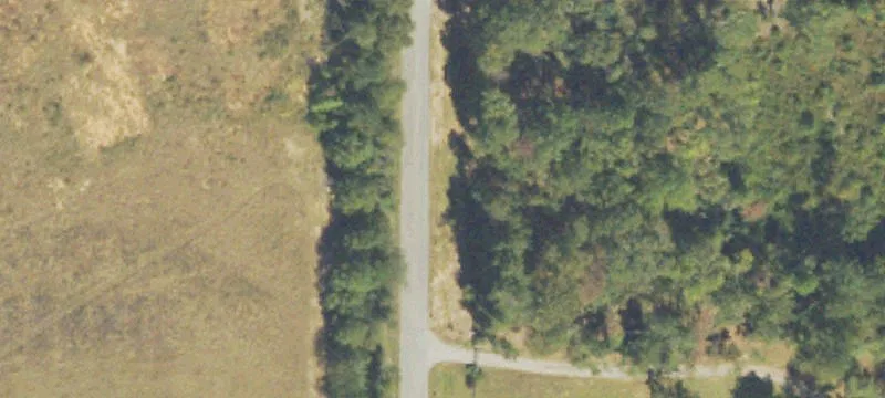 Pasture Land with Build Sites