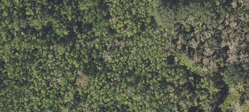 Lake-Adjacent Land Lots