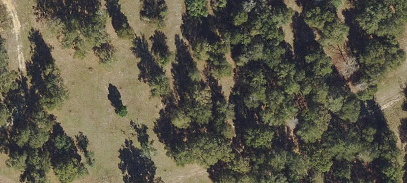 Working Ranch Acreage with Barn